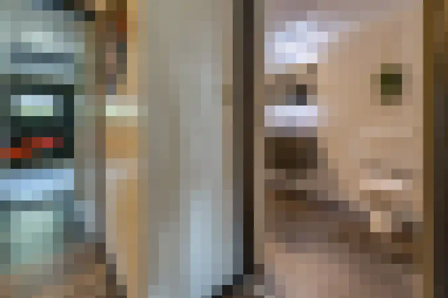 Noorderblokken 15 Drouwenermond thumbnail 22