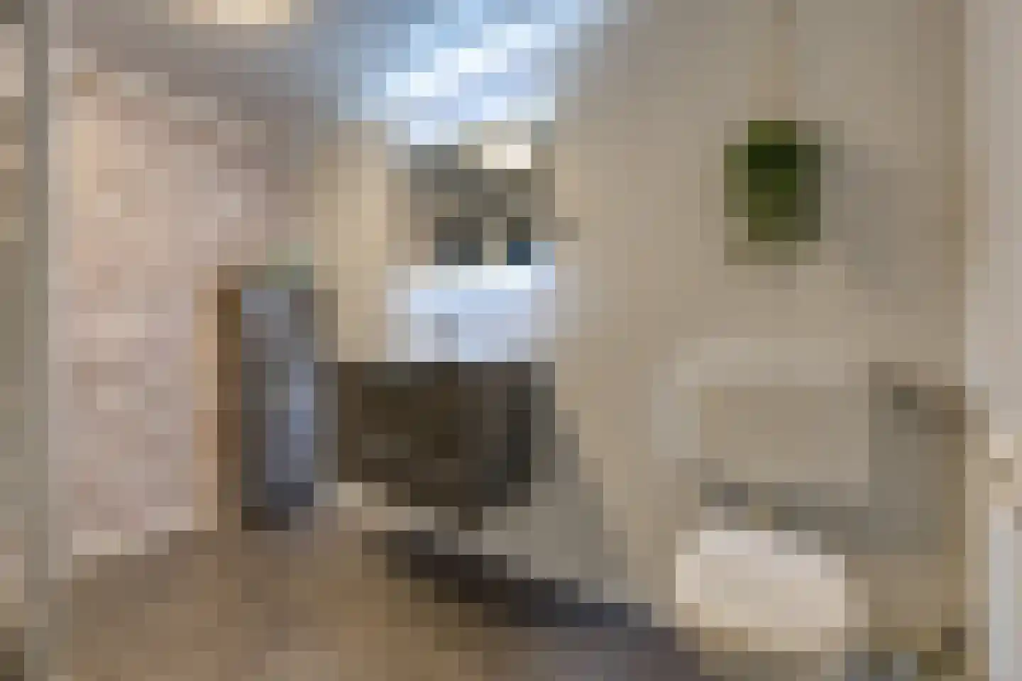 Noorderblokken 15 Drouwenermond thumbnail 23