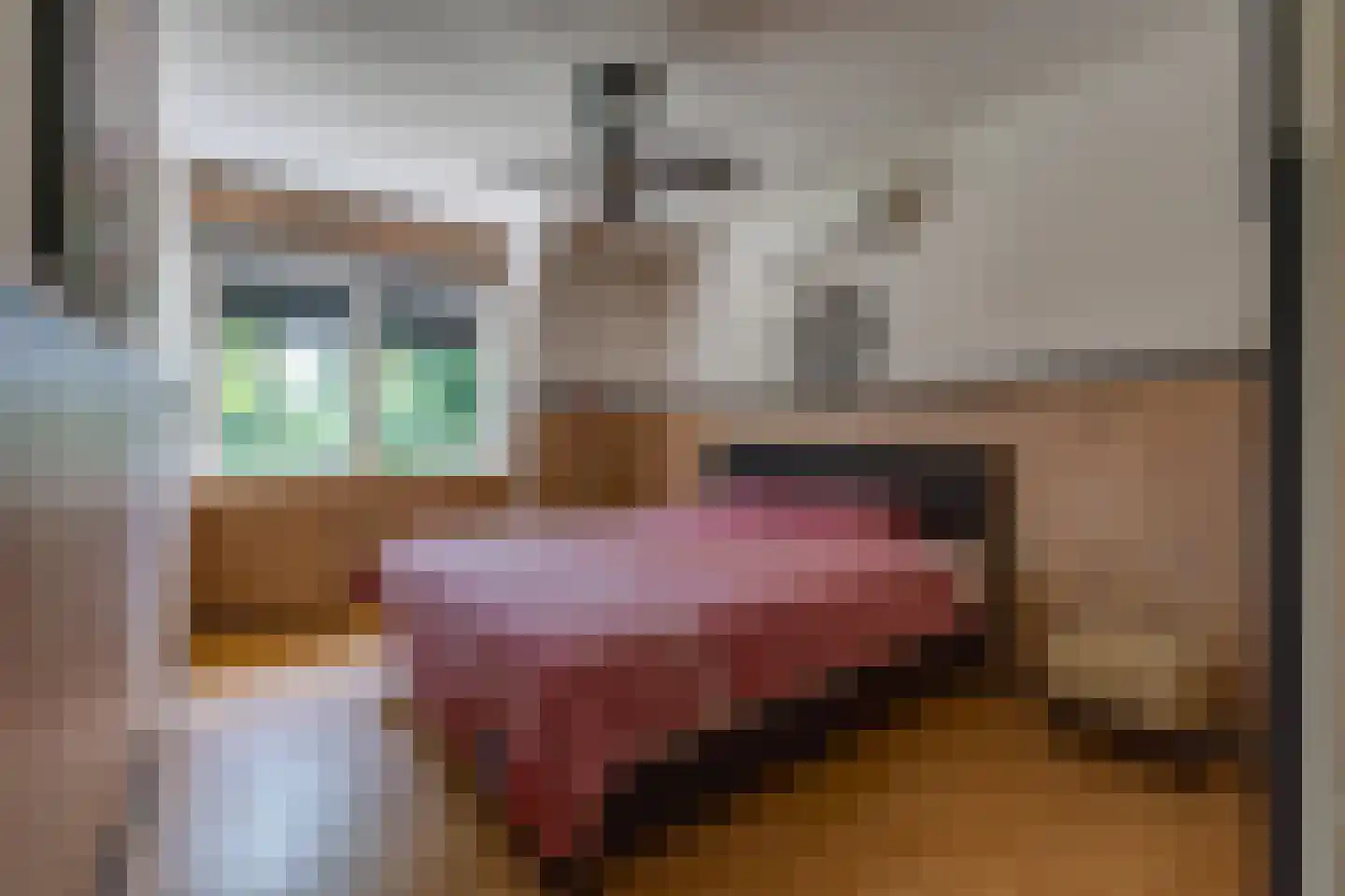 Noorderblokken 15 Drouwenermond thumbnail 27