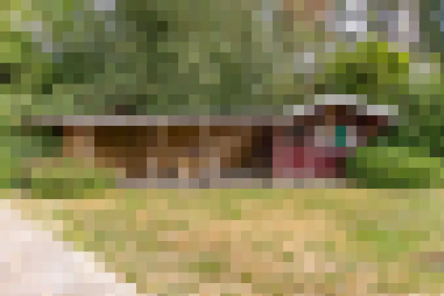 Noorderblokken 15 Drouwenermond thumbnail 46