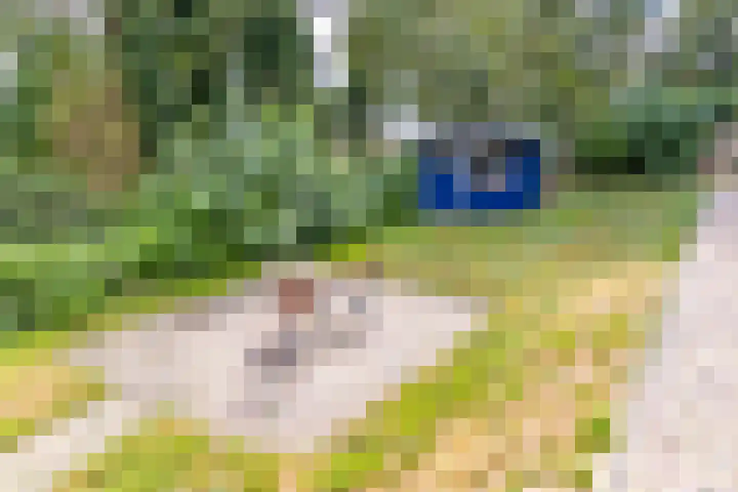Noorderblokken 15 Drouwenermond thumbnail 48