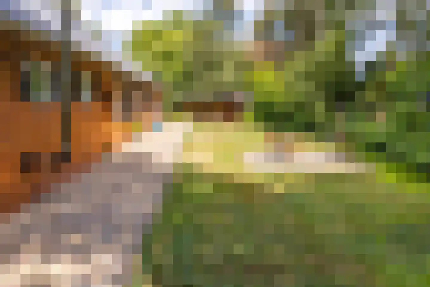 Noorderblokken 15 Drouwenermond thumbnail 49