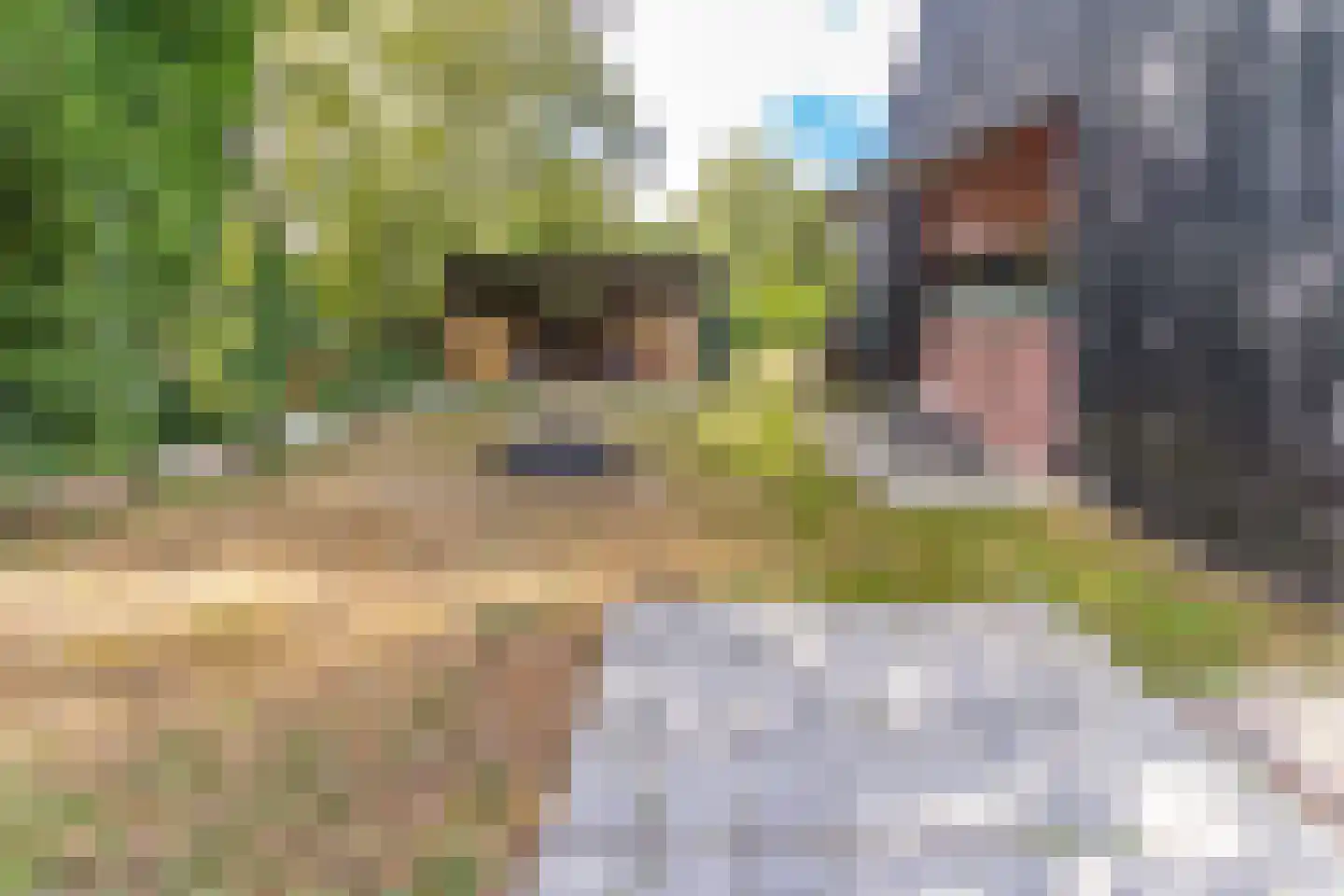 Noorderblokken 15 Drouwenermond thumbnail 50
