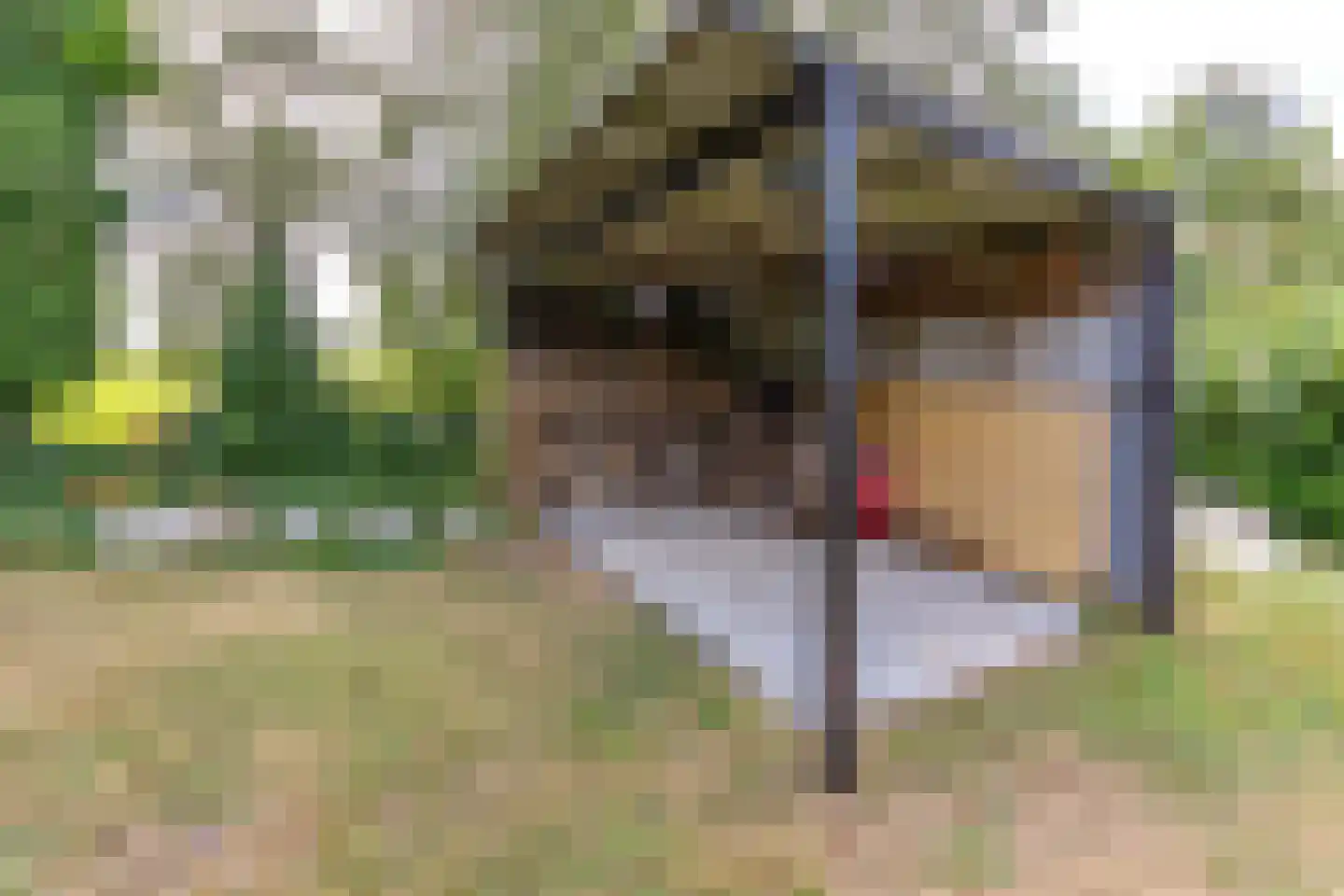 Noorderblokken 15 Drouwenermond thumbnail 52