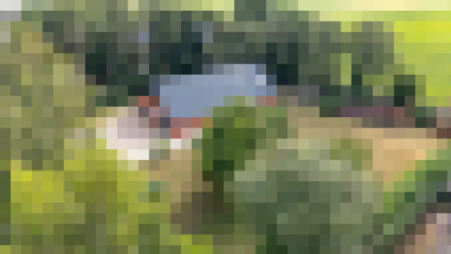 Noorderblokken 15 Drouwenermond thumbnail 56