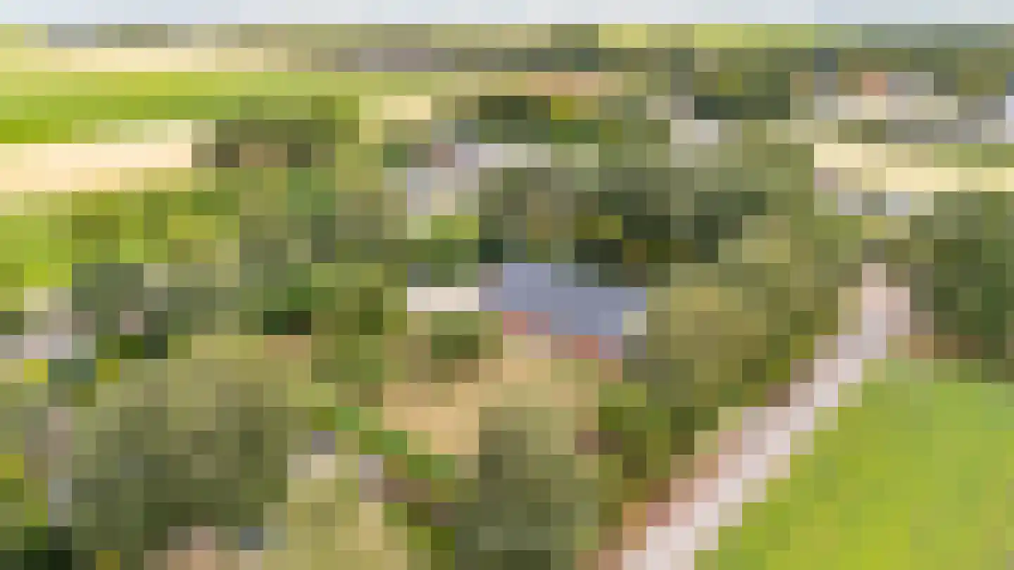 Noorderblokken 15 Drouwenermond thumbnail 57