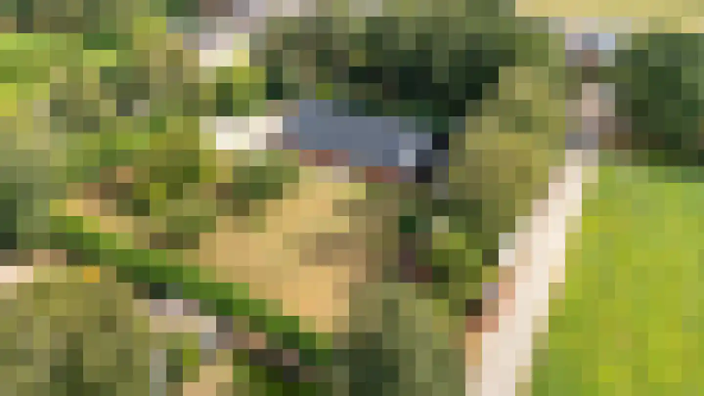 Noorderblokken 15 Drouwenermond thumbnail 58