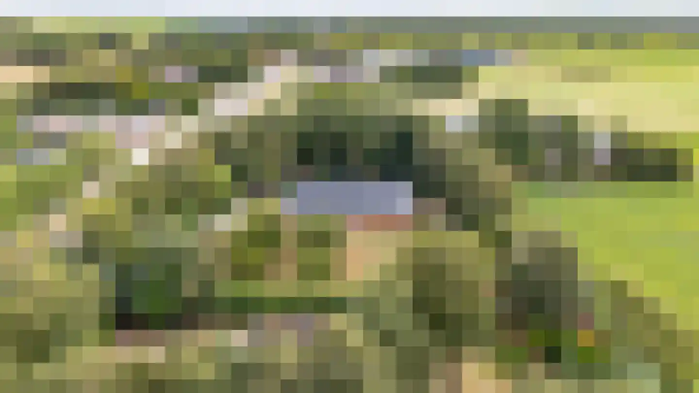Noorderblokken 15 Drouwenermond thumbnail 59