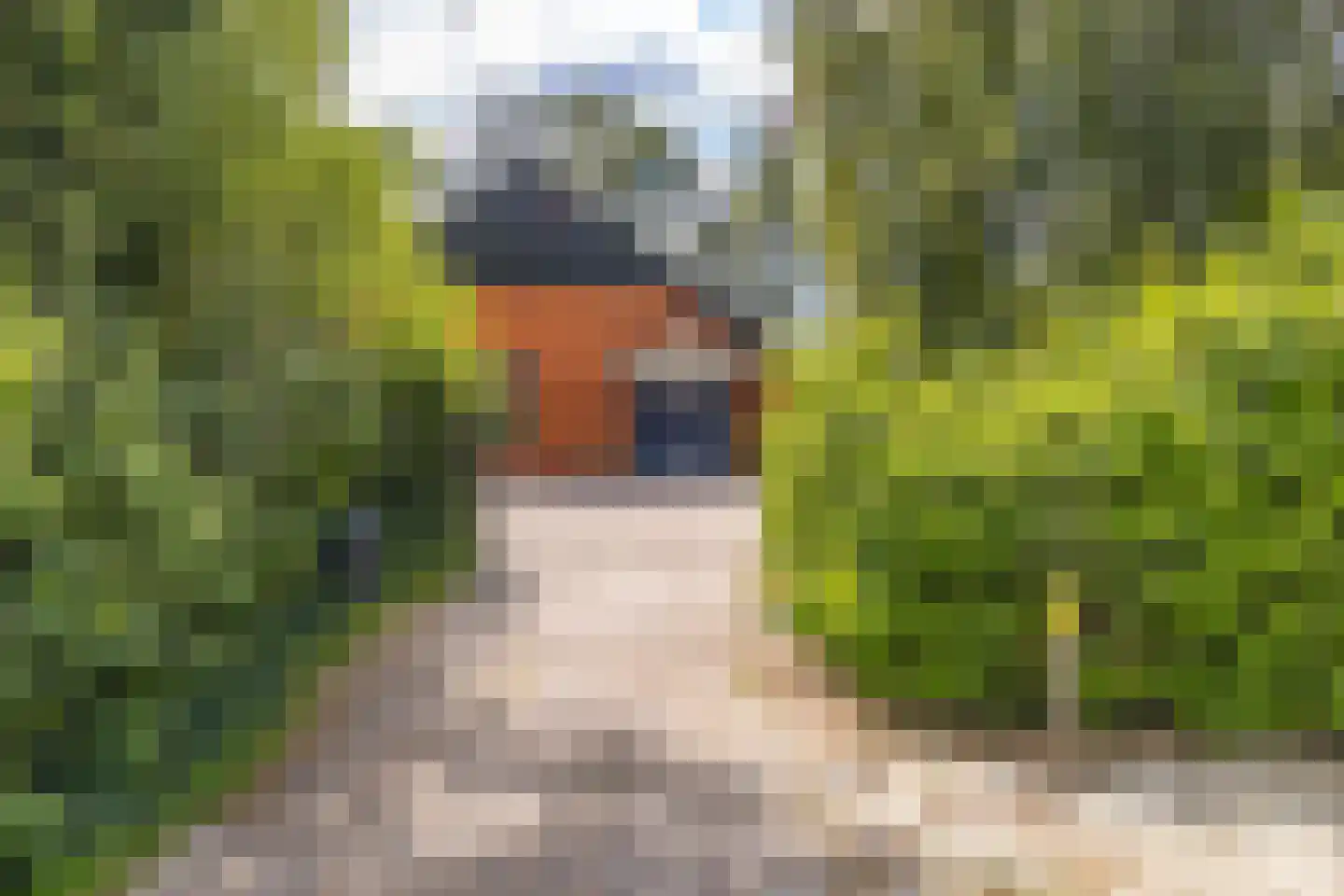 Noorderblokken 15 Drouwenermond thumbnail 8