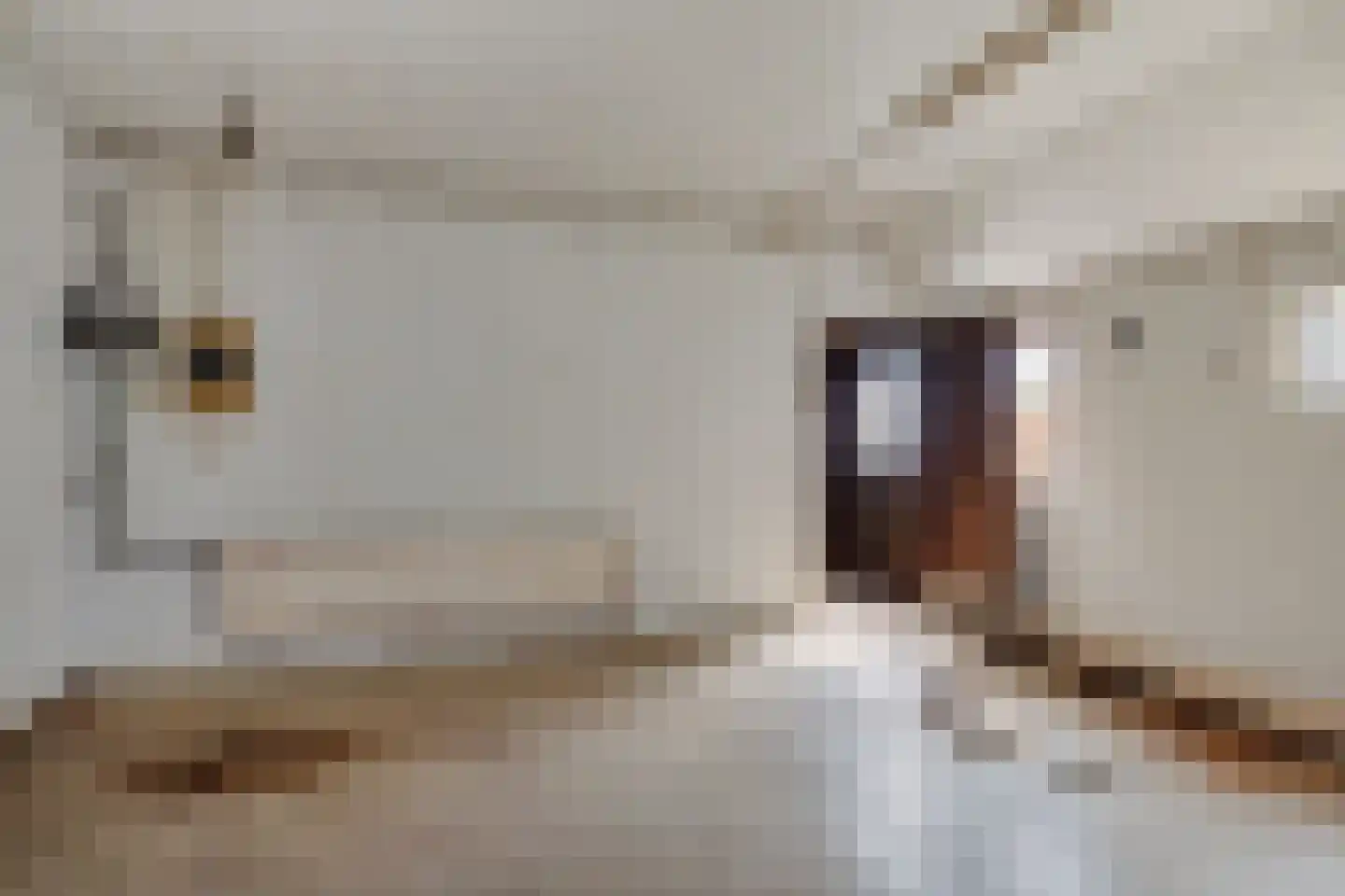 Noorderblokken 21 Drouwenermond thumbnail 47