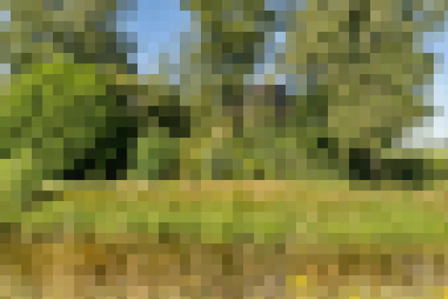 Noorderblokken 21 Drouwenermond thumbnail 48