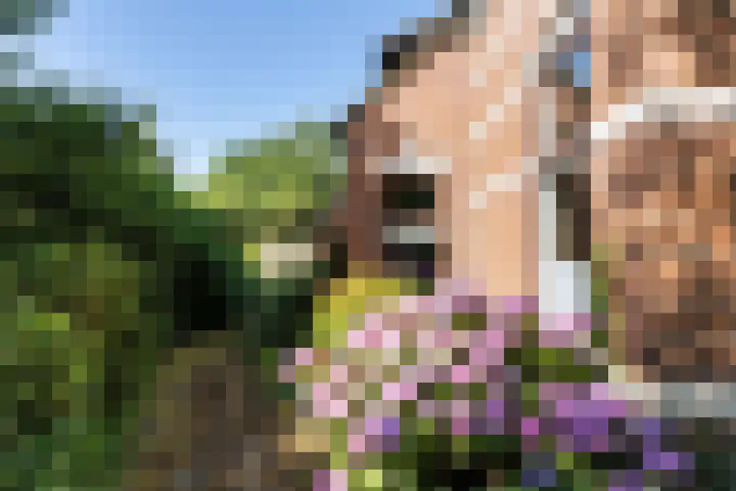 Noorderblokken 21 Drouwenermond thumbnail 50