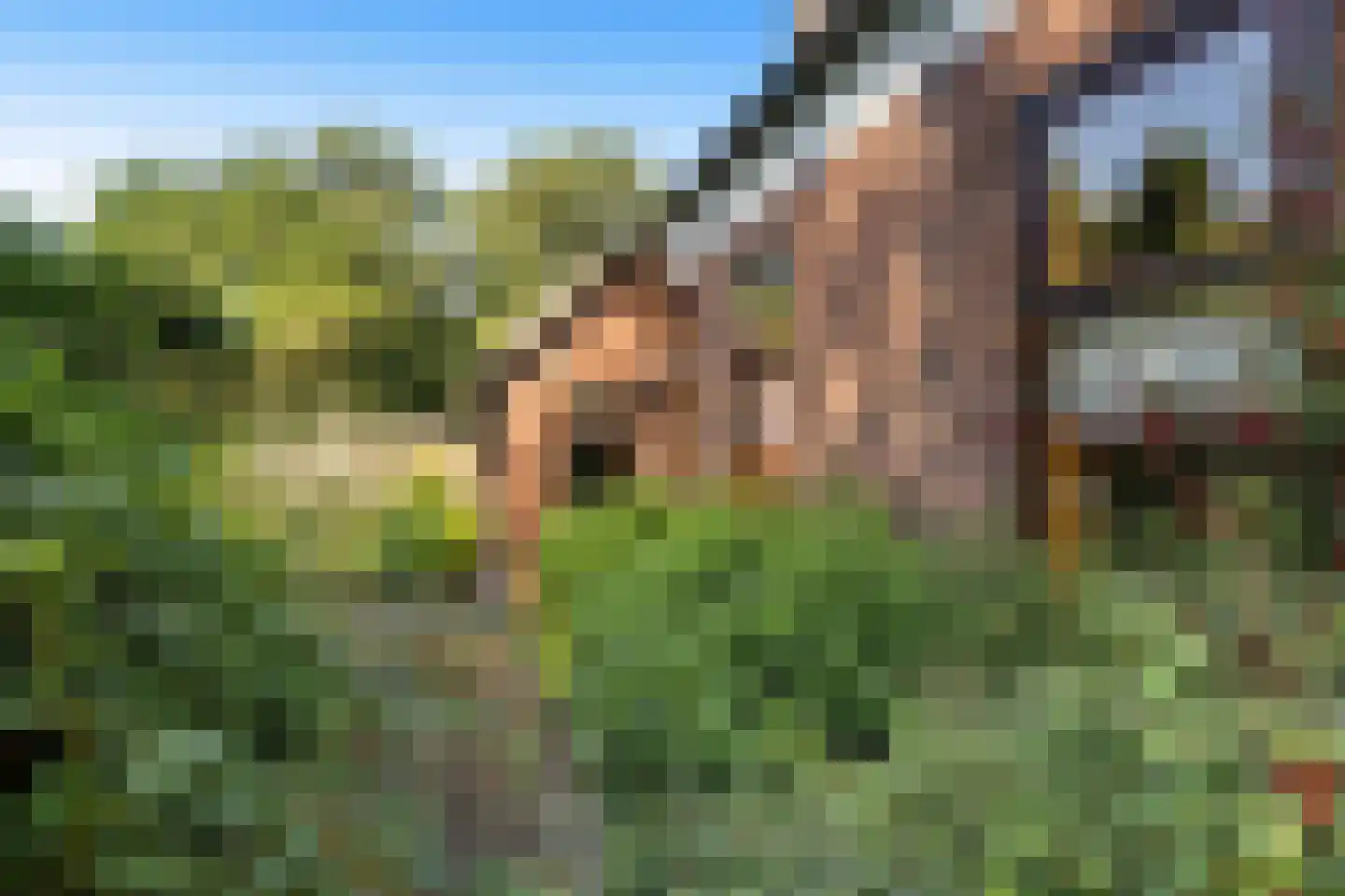 Noorderblokken 21 Drouwenermond thumbnail 51