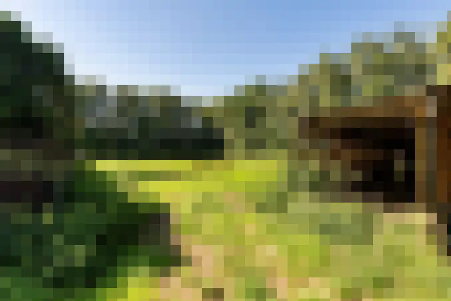 Noorderblokken 21 Drouwenermond thumbnail 60