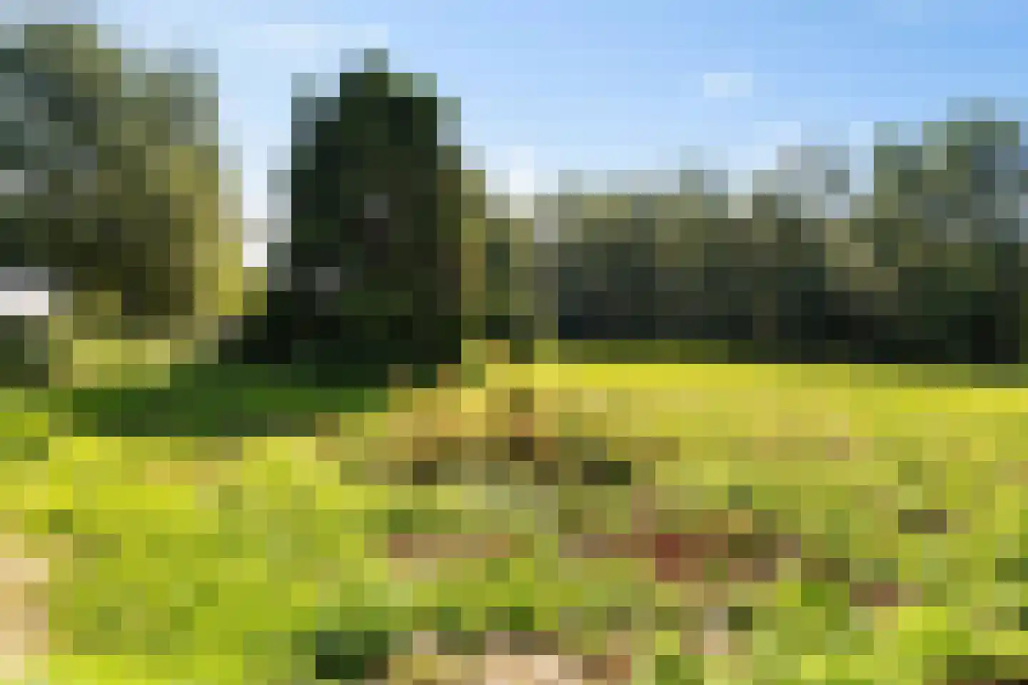 Noorderblokken 21 Drouwenermond thumbnail 61