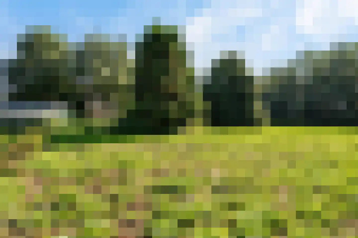 Noorderblokken 21 Drouwenermond thumbnail 62
