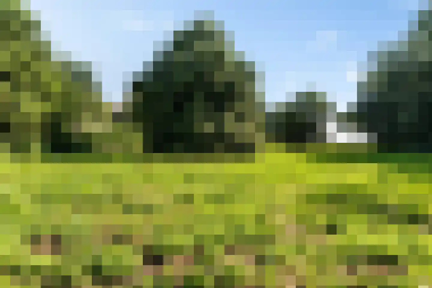 Noorderblokken 21 Drouwenermond thumbnail 63