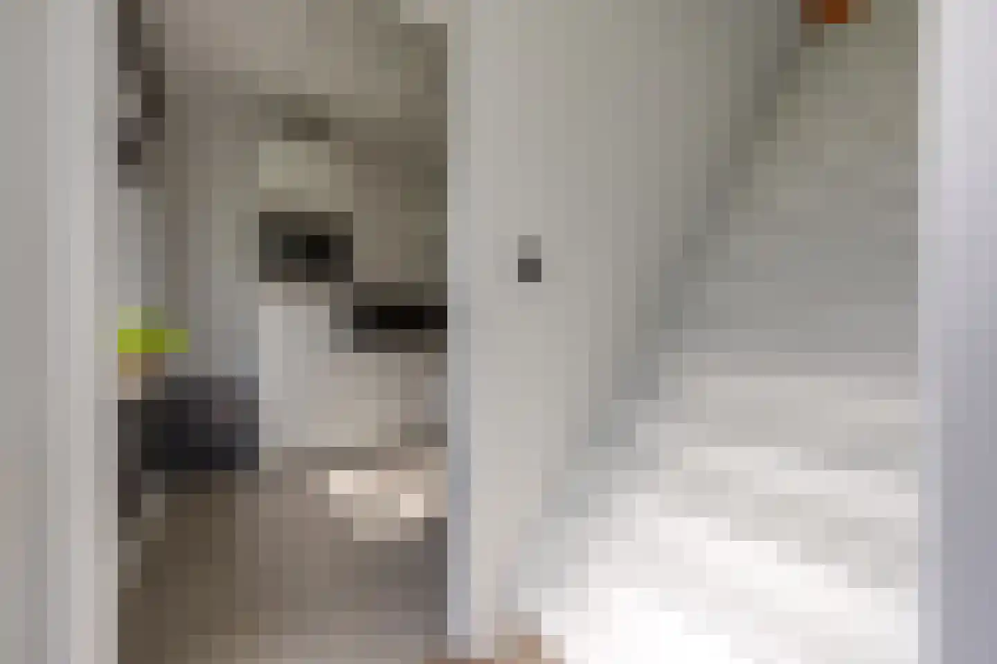 Noorderblokken 4 Drouwenermond thumbnail 14