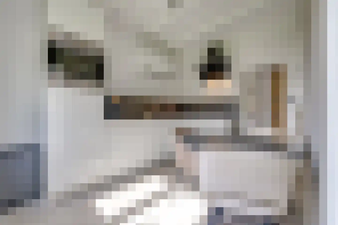 Noorderblokken 4 Drouwenermond thumbnail 6