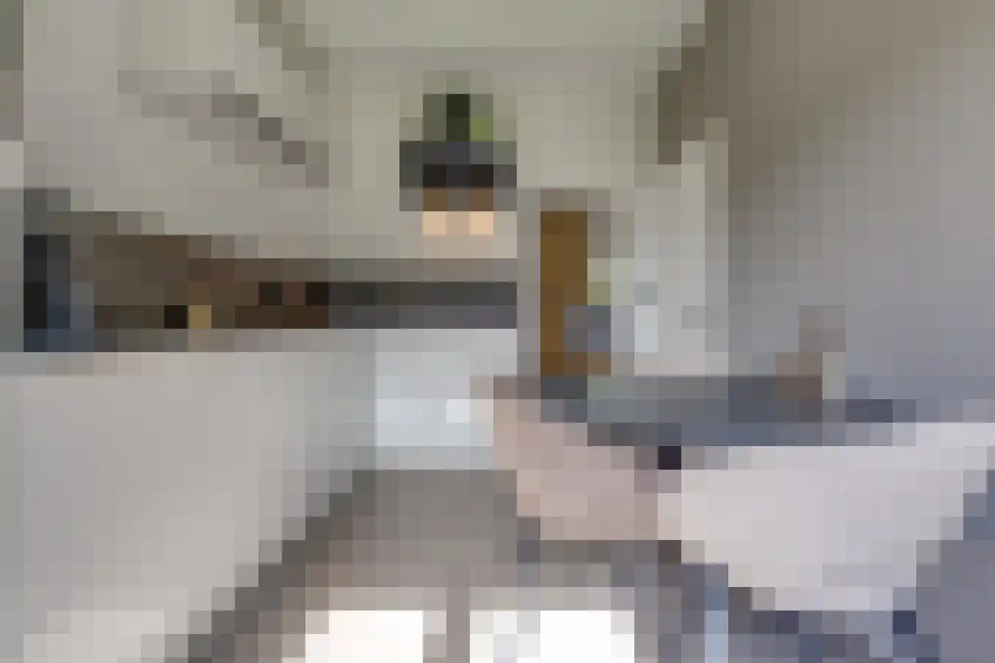 Noorderblokken 4 Drouwenermond thumbnail 7