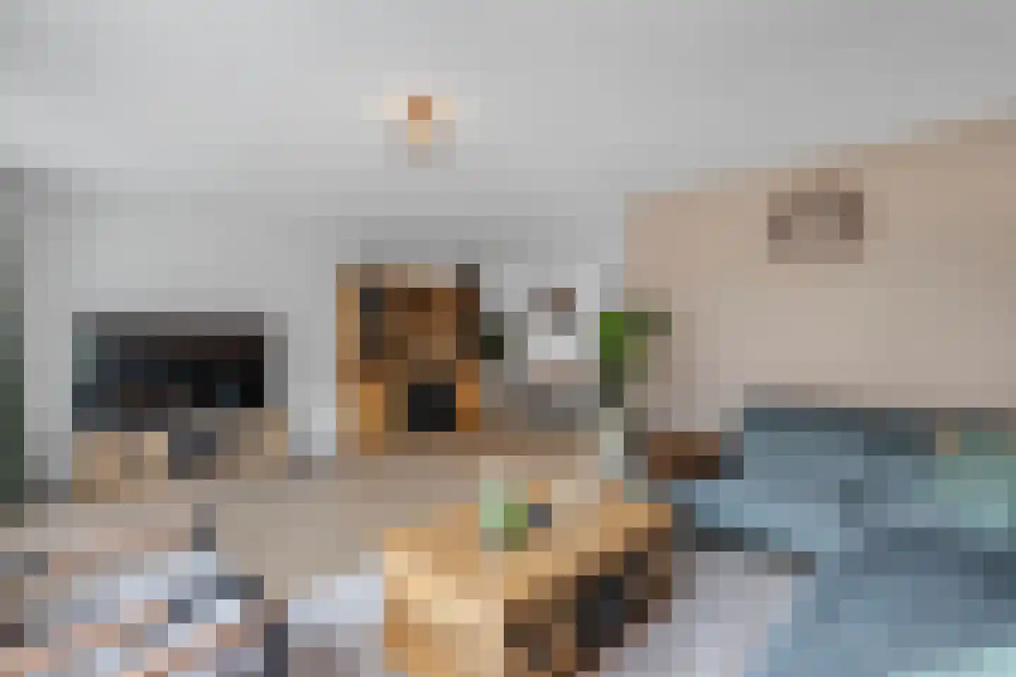 Noorderbocht 46 Ens thumbnail 17