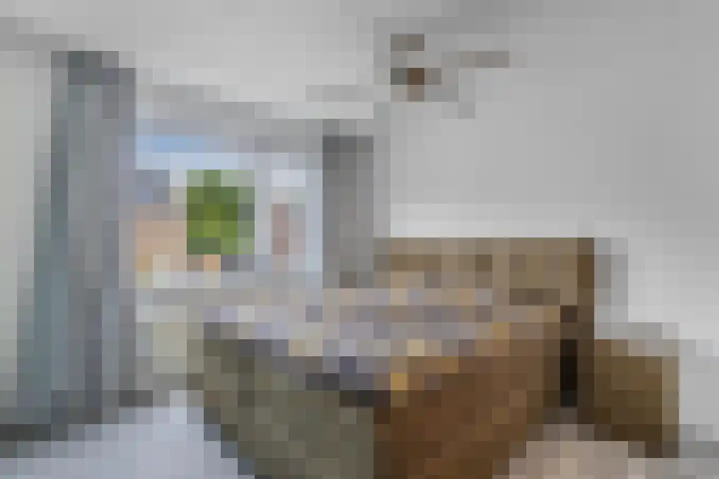 Noorderbocht 46 Ens thumbnail 33