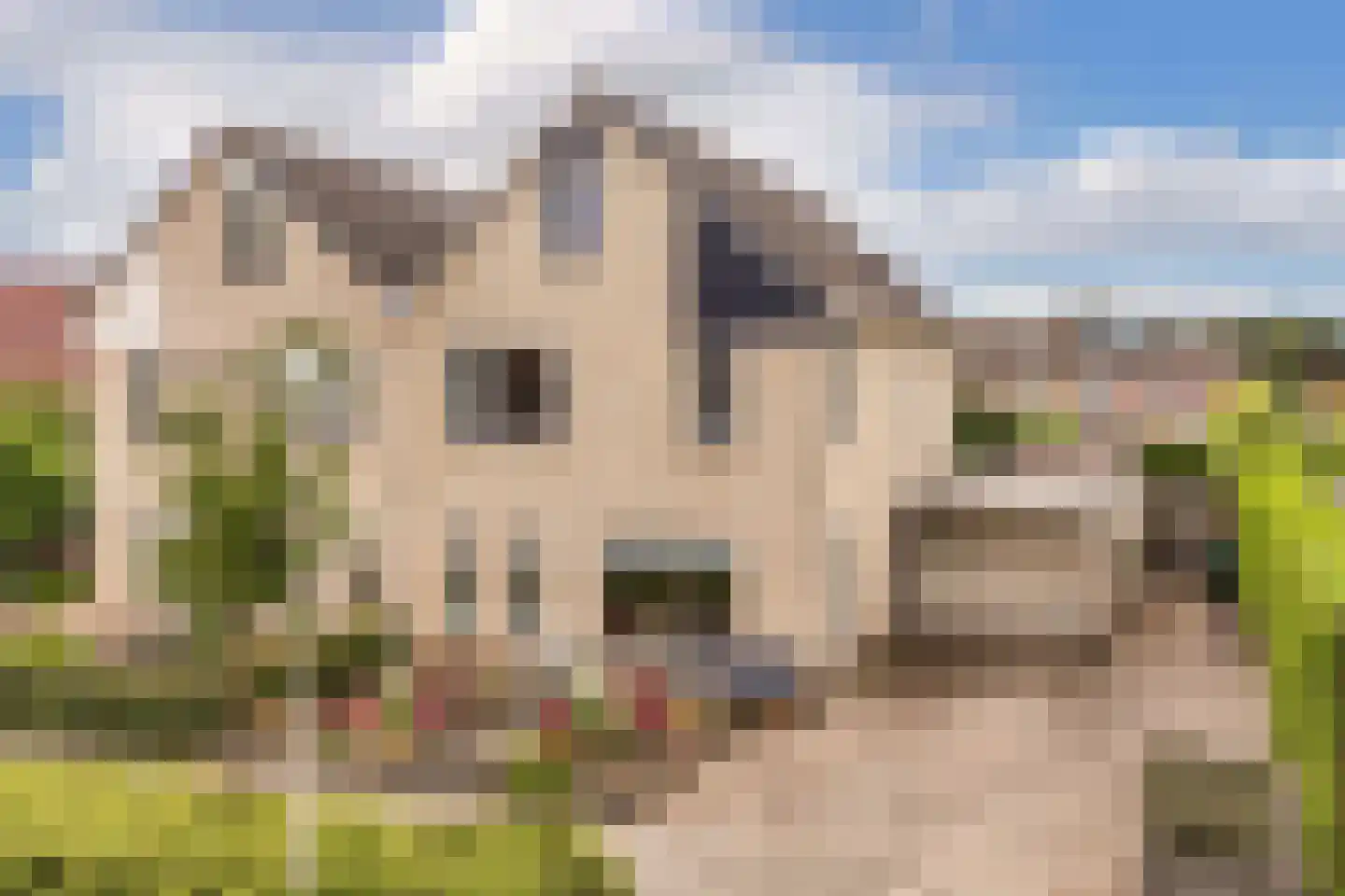 Noorderbocht 46 Ens thumbnail 5