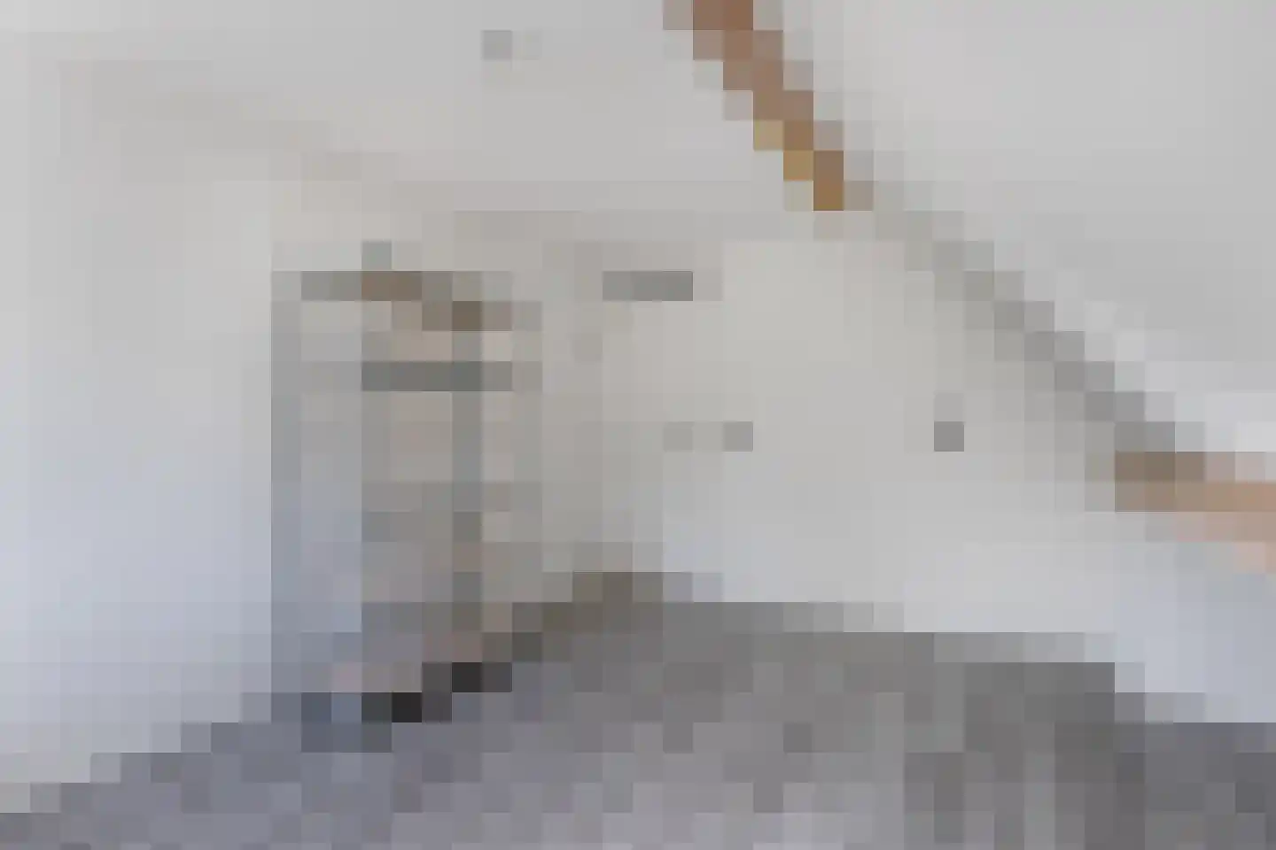 Noorderbocht 73 Ens thumbnail 30