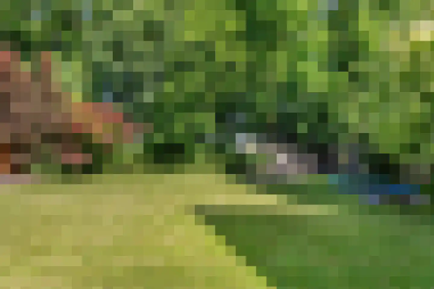 Noorderbocht 73 Ens thumbnail 46