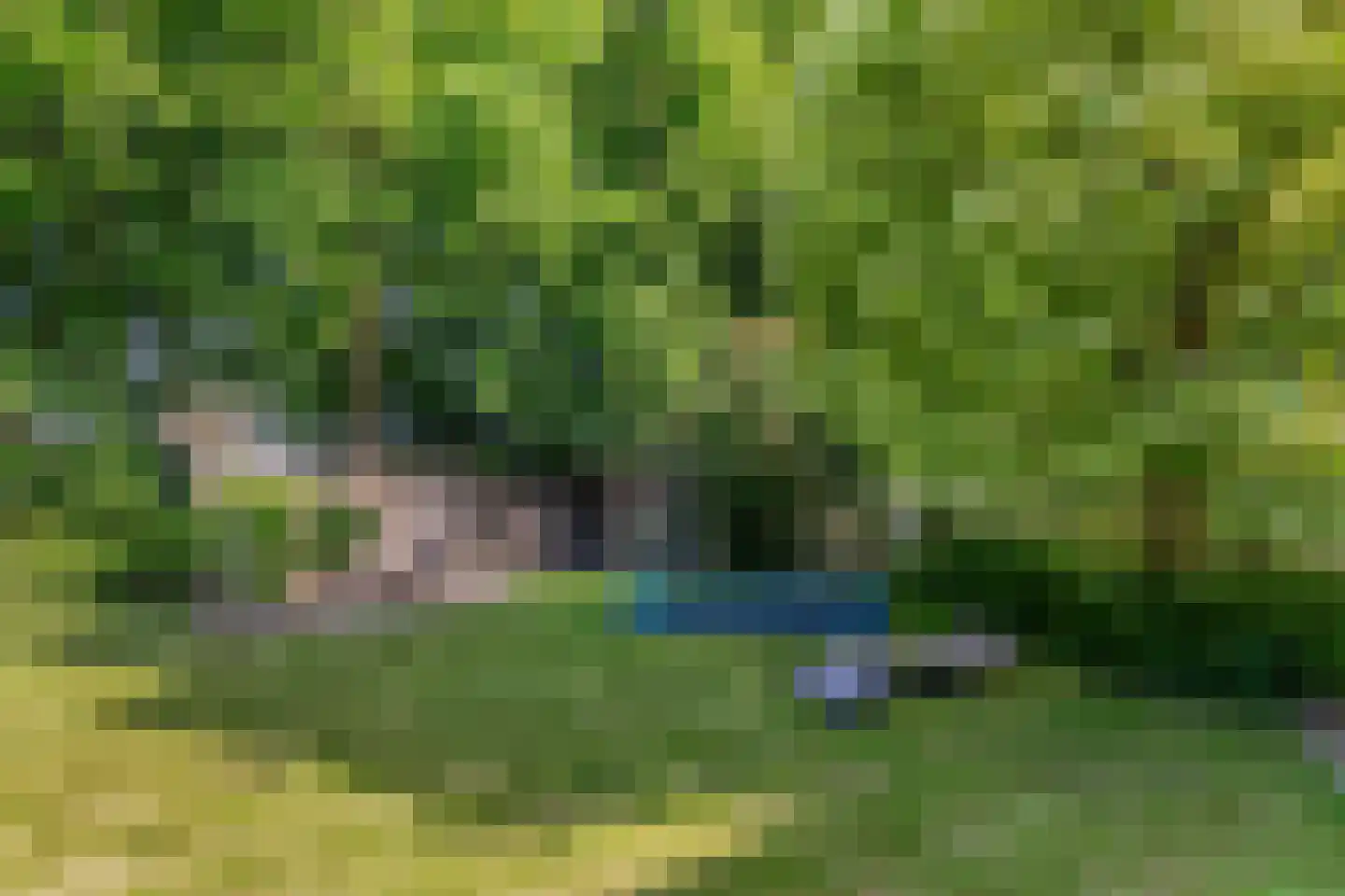 Noorderbocht 73 Ens thumbnail 47