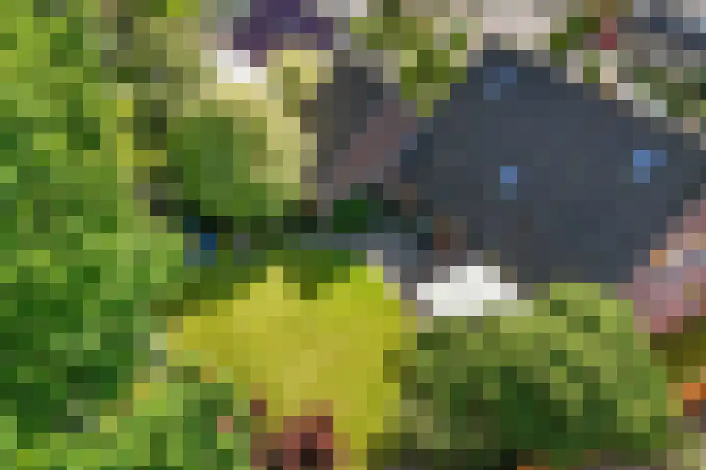 Noorderbocht 73 Ens thumbnail 53