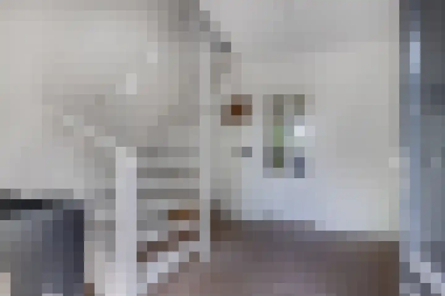 Noorderbocht 73 Ens thumbnail 7