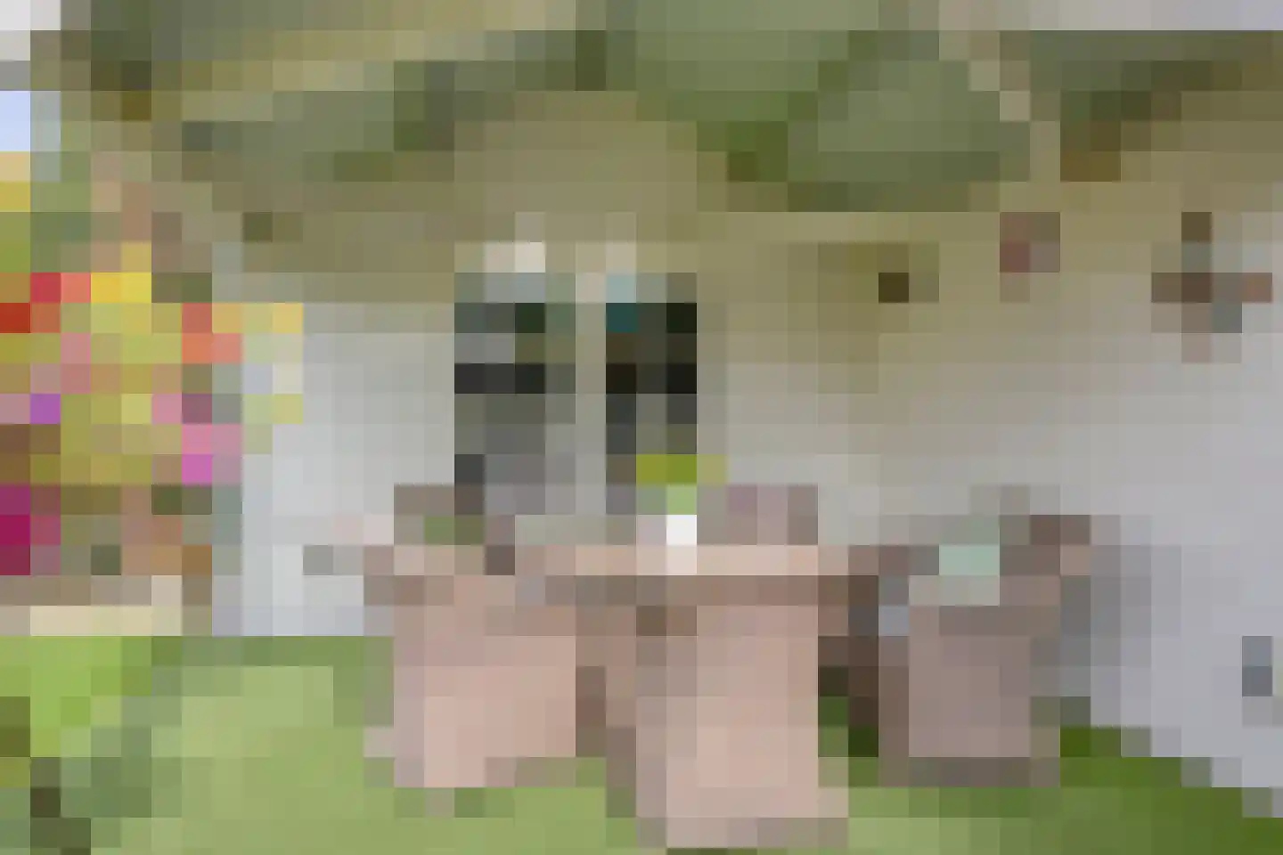 Noorderbocht 81 Ens thumbnail 36