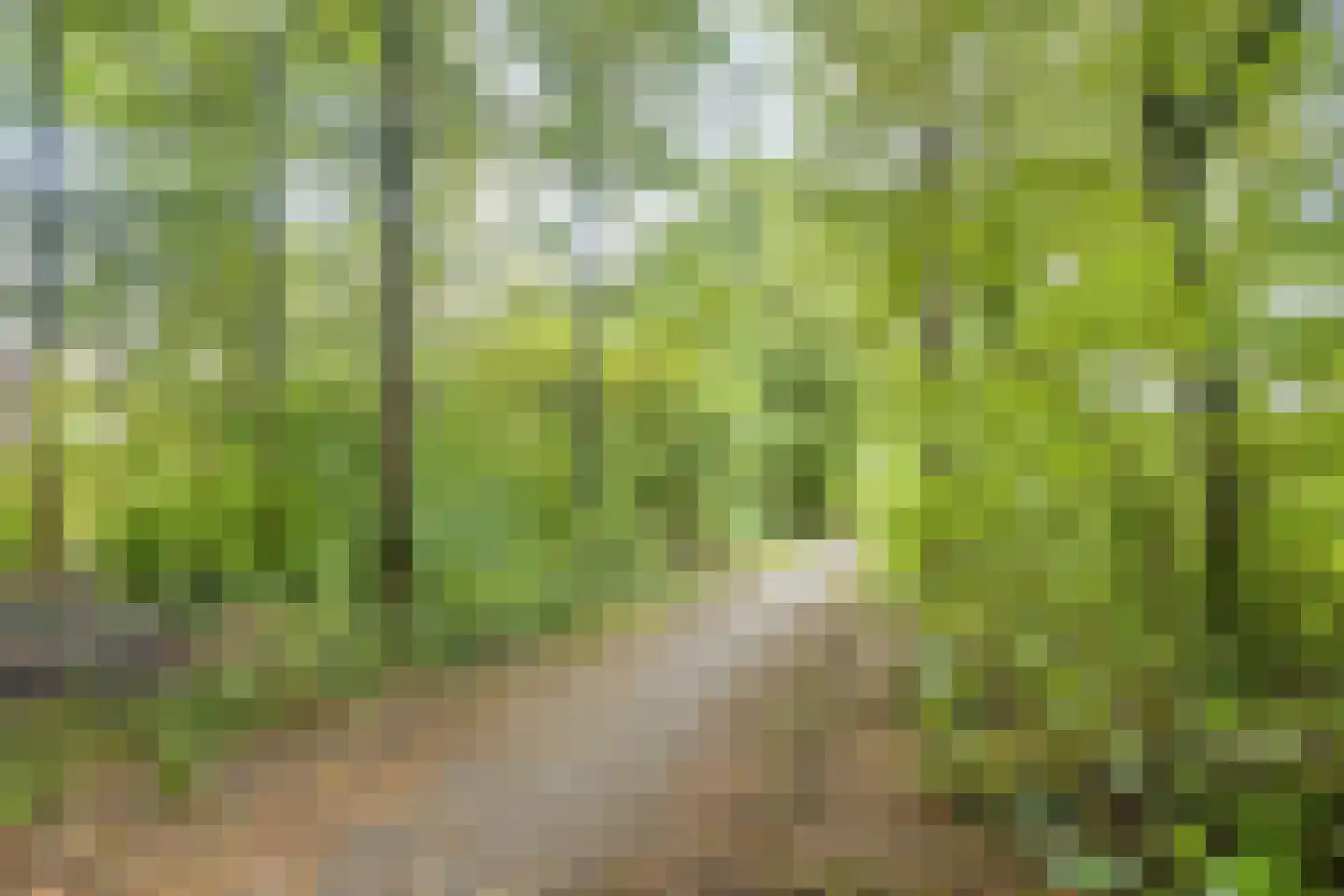 Noorderbocht 81 Ens thumbnail 45