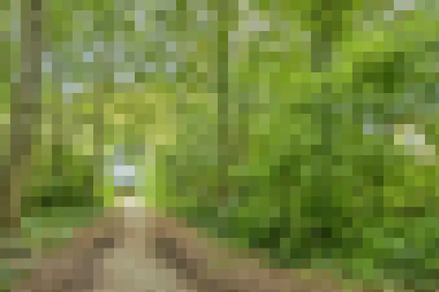 Noorderbocht 81 Ens thumbnail 46