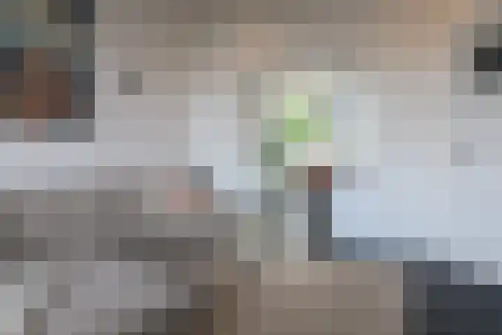 Noorderbolwerk 23 Franeker thumbnail 16