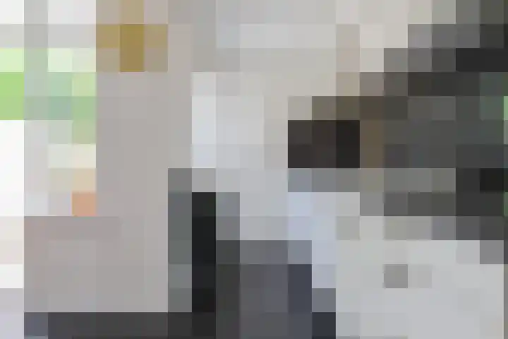 Noorderbolwerk 23 Franeker thumbnail 27