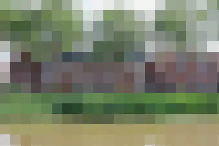 Noorderbolwerk 23 Franeker thumbnail 4