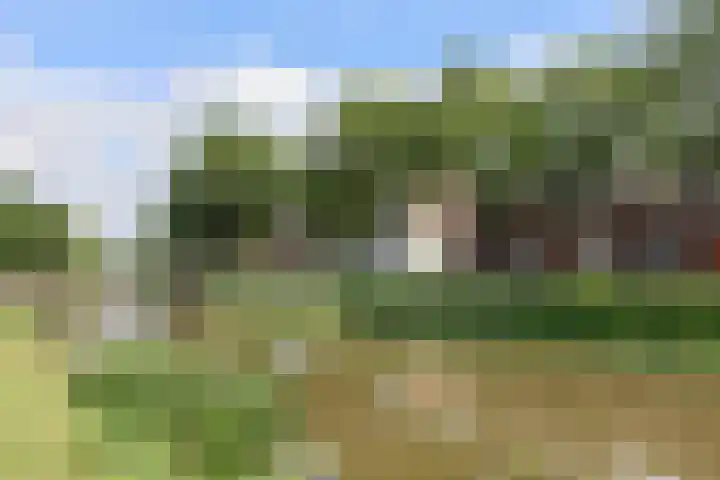 Noorderbolwerk 23 Franeker thumbnail 5