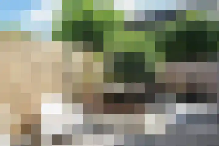 Noorderbolwerk 23 Franeker thumbnail 51