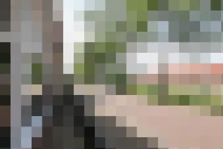 Noorderbolwerk 23 Franeker thumbnail 59