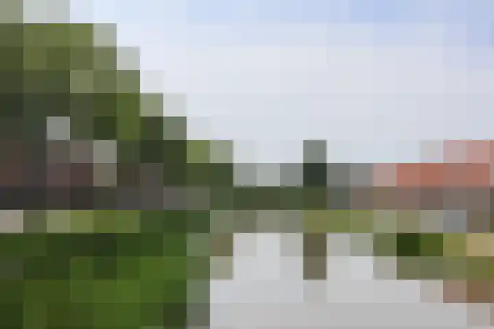 Noorderbolwerk 23 Franeker thumbnail 62