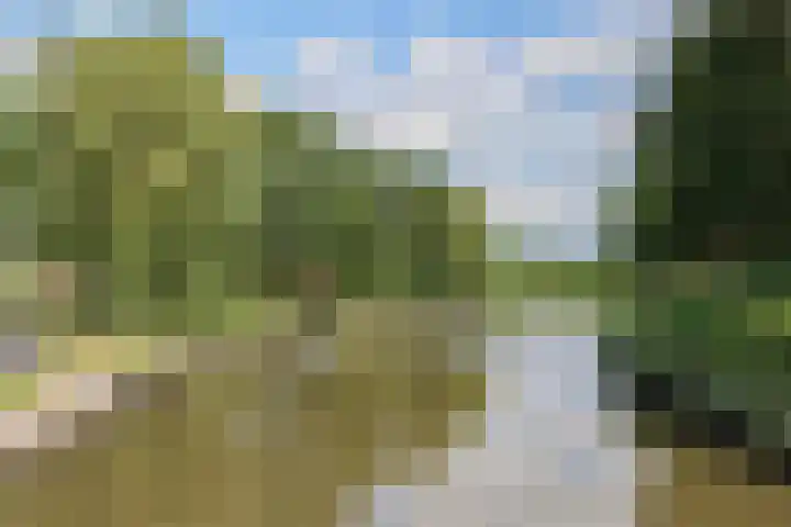 Noorderbolwerk 23 Franeker thumbnail 63
