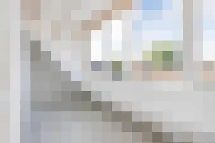 Noorderbolwerk 3 A Franeker thumbnail 25