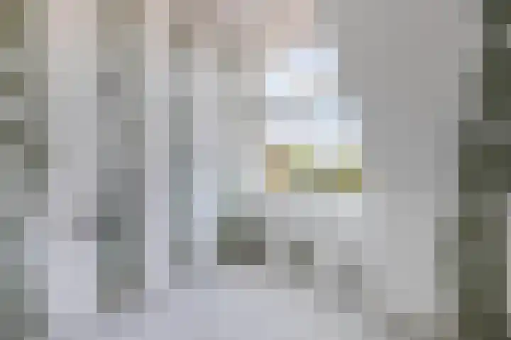 Noorderbolwerk 3 A Franeker thumbnail 30