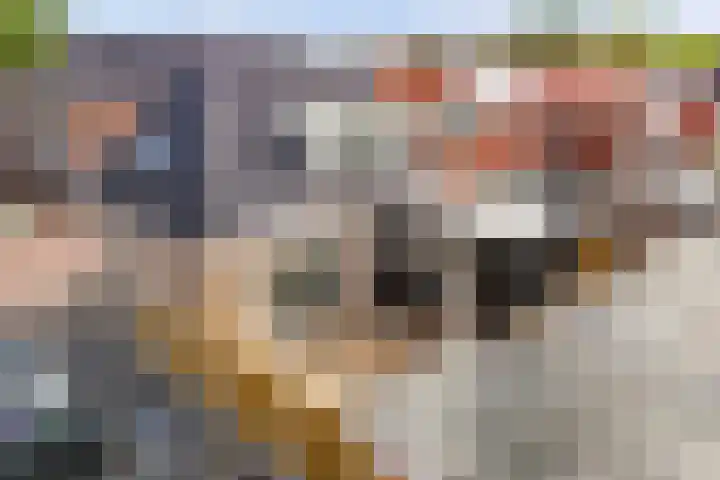 Noorderbolwerk 3 A Franeker thumbnail 36