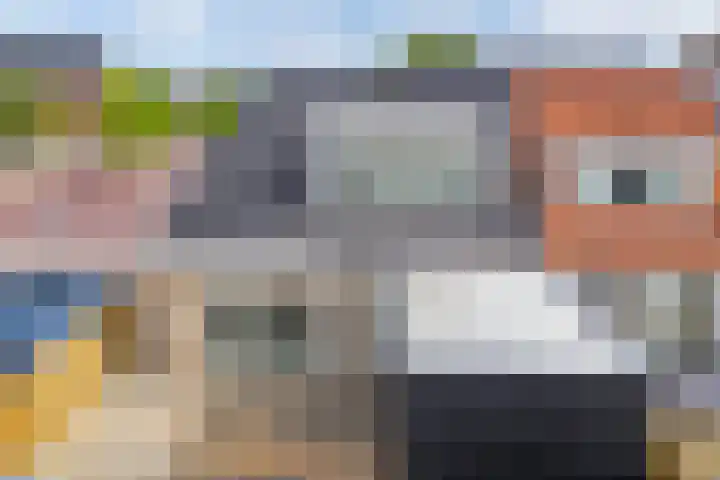 Noorderbolwerk 3 A Franeker thumbnail 37