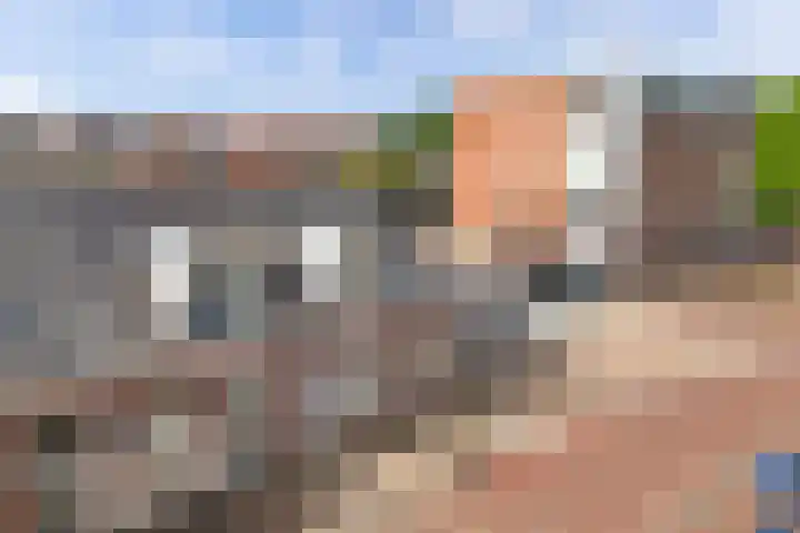 Noorderbolwerk 3 A Franeker thumbnail 7