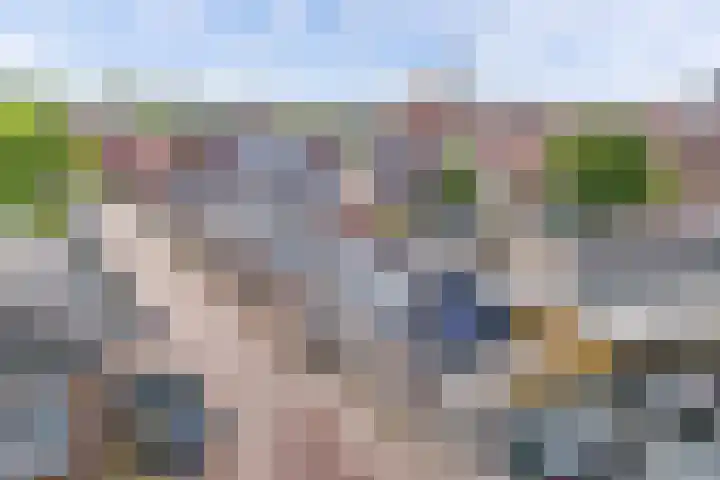 Noorderbolwerk 3 A Franeker thumbnail 9