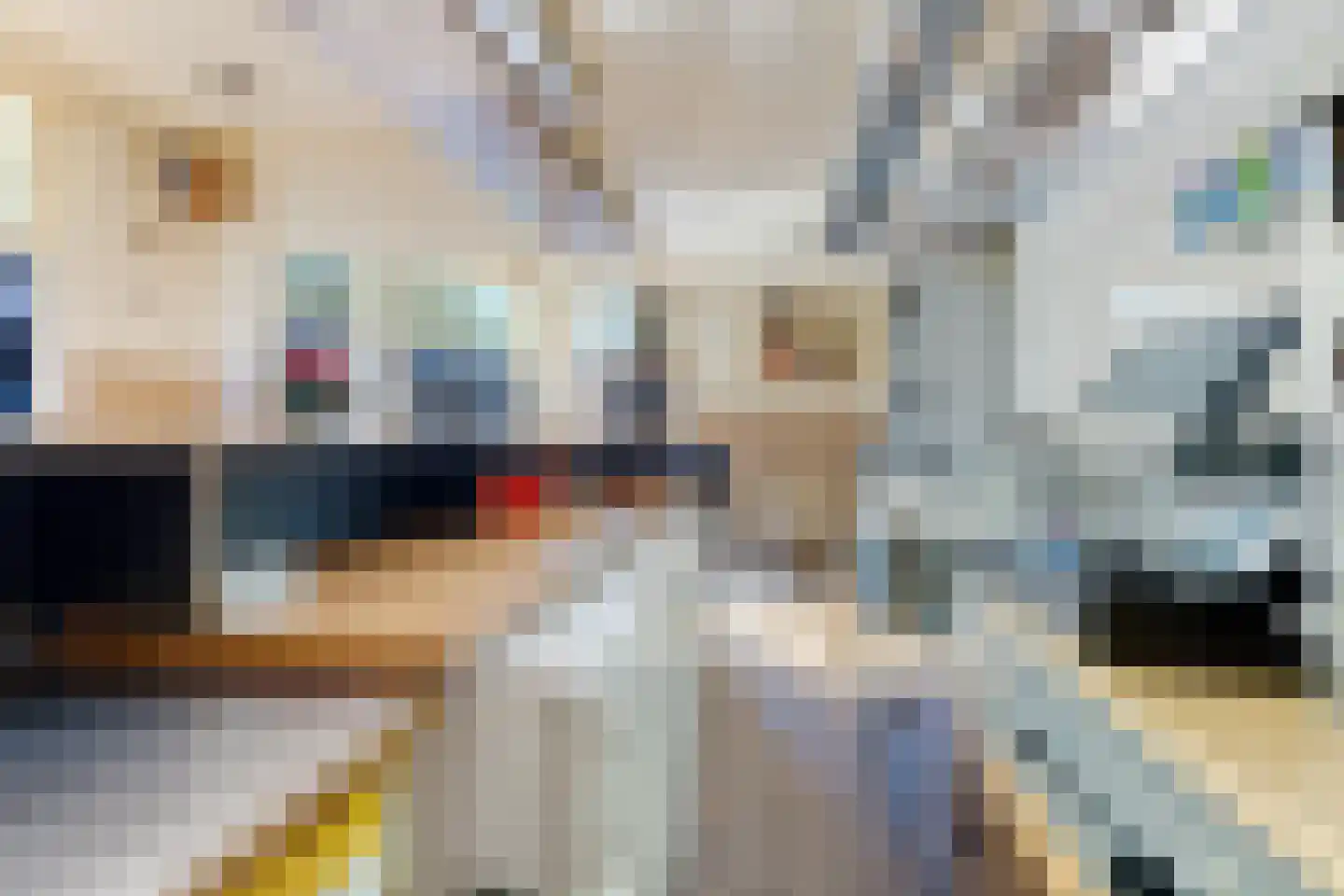 Noorderbolwerk 6 Dokkum thumbnail 14